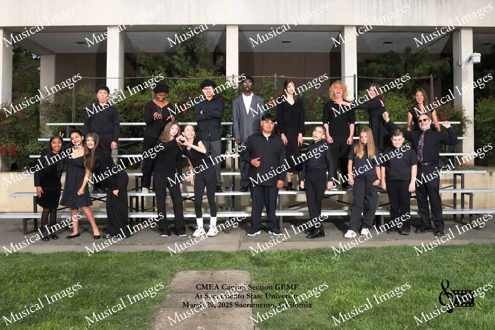 Musical Images
